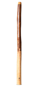 Wix Stix Didgeridoo (WS381)